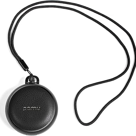 PaMu Portable Wireless Earbuds with Leather Charging Case